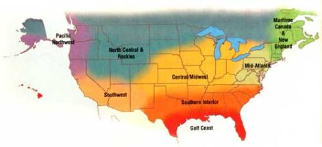Gardening Tips for Season and Region Image